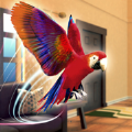 鹦鹉模拟器宠物世界3dv1.0.0.1