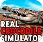 真正的鳄鱼模拟器v1.0.0.0