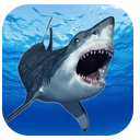 鲨鱼的恐怖袭击v1.0