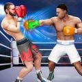 3D拳拳冠军(Kick Boxing)