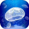 养育水母的治愈(Jellyfish)