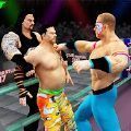 WWE团体世界冠军赛(Tag Team Stars)v0.1