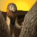 野生狮子生存模拟器v1.0