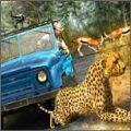 野生生存狩猎(Wild Animals Hunting Safari Shoo)