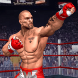拳击英雄竞技场(Punch Boxing Fighter 2021)v1.0