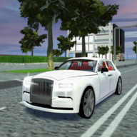 豪华停车模拟(Luxury Car Parking Sim)