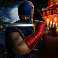 忍者格斗狂欢(Ninja Fighting Spree)v1.11