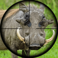 野性狩猎狙击手（Wild Hunt Pig Sniper Shooting）v1.0.21