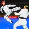 空手道搏击2020(karate challenge 2019)v2.0