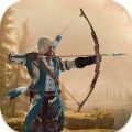 弓箭手猎杀(Archer Assassin shooting game)v0.5
