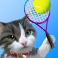 猫咪网球v1.0