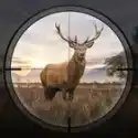 狩猎狙击手3D国际服(Hunting Sniper)