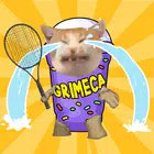 猫咪网球大赛(Cat Tennis Master)