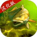 我的钓鱼世界中文版v1.14.106