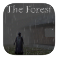 兰德里纳河的森林雨天(Slendrina: The Forest)v1.02