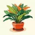 种植植物植物大亨(Plantscapes - Grow & Decorate!)